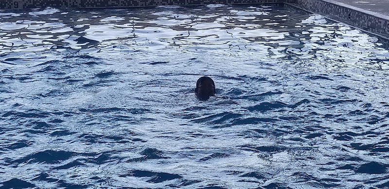 Prophetstown Park District - Prophetstown, IL