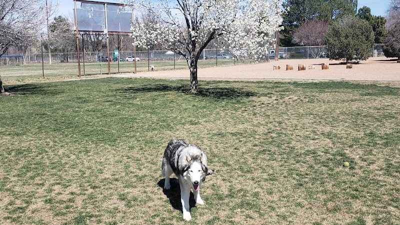 City Park Dog Park - Pueblo, CO