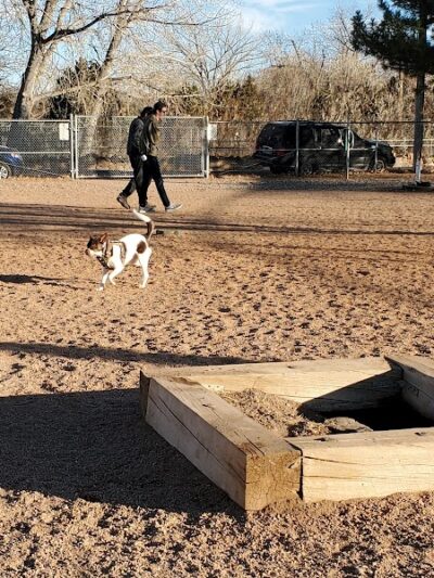 City Park Dog Park - Pueblo, CO