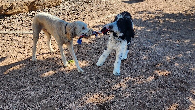 City Park Dog Park - Pueblo, CO
