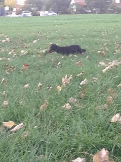 University Park - Pueblo, CO