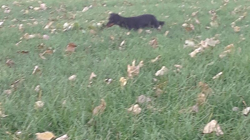 University Park - Pueblo, CO