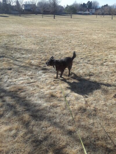 University Park - Pueblo, CO