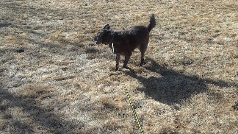 University Park - Pueblo, CO