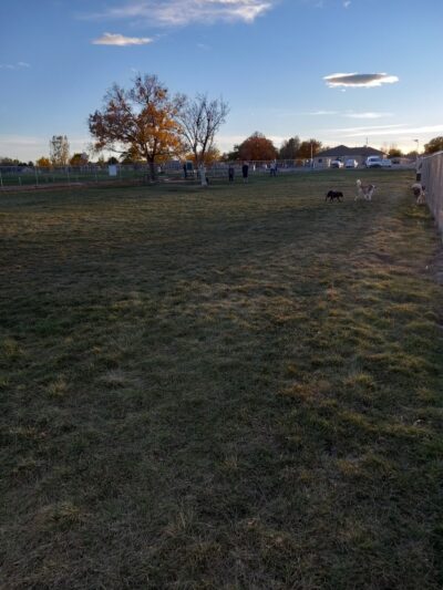 Waggin’ Tails Dog Park - Pueblo, CO