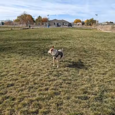 Waggin’ Tails Dog Park - Pueblo, CO