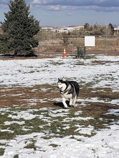 Waggin’ Tails Dog Park - Pueblo, CO
