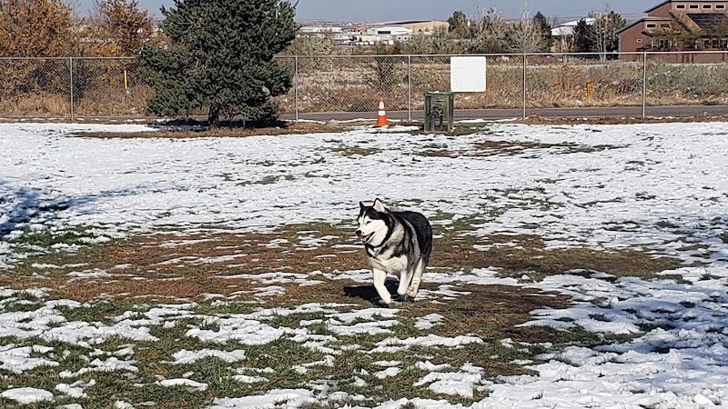Waggin’ Tails Dog Park - Pueblo, CO