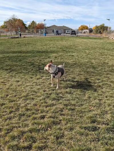 Waggin’ Tails Dog Park - Pueblo, CO