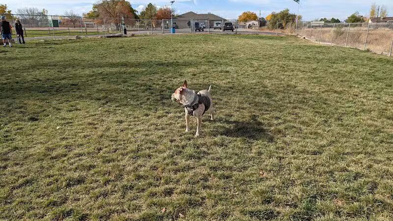Waggin’ Tails Dog Park - Pueblo, CO