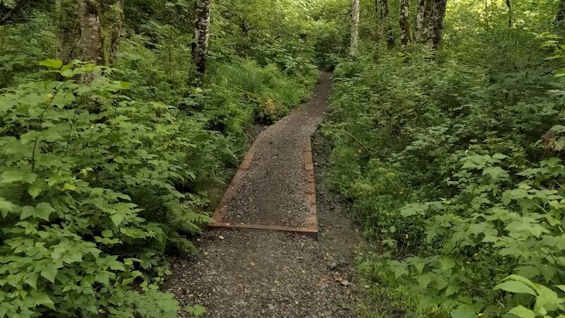 Clarks Creek Off-Leash Dog Park - Puyallup, WA