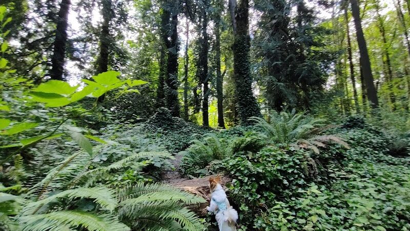 Clarks Creek Off-Leash Dog Park - Puyallup, WA