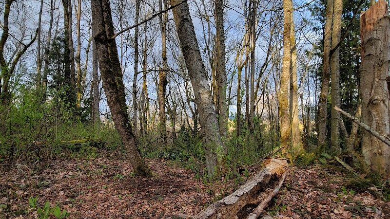 Clarks Creek Off-Leash Dog Park - Puyallup, WA