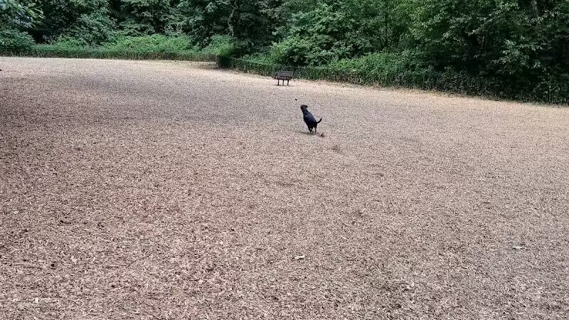 Clarks Creek Off-Leash Dog Park - Puyallup, WA