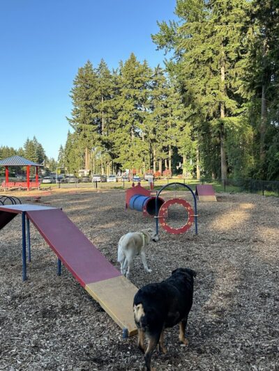 Rainier Woods Off-Leash Dog Park - Puyallup, WA
