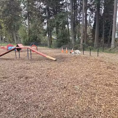 Rainier Woods Off-Leash Dog Park - Puyallup, WA