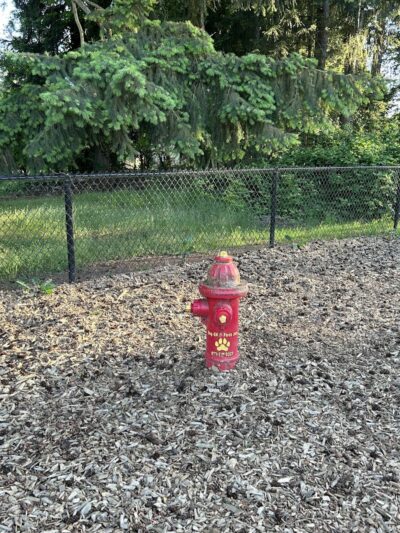 Rainier Woods Off-Leash Dog Park - Puyallup, WA