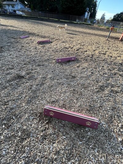 Rainier Woods Off-Leash Dog Park - Puyallup, WA