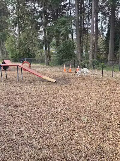 Rainier Woods Off-Leash Dog Park - Puyallup, WA
