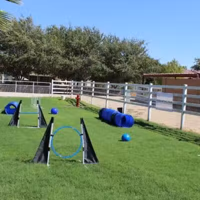 Fetch at The Stall Private Dog Park - Queen Creek, AZ