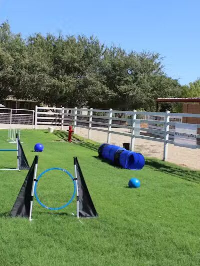 Fetch at The Stall Private Dog Park - Queen Creek, AZ