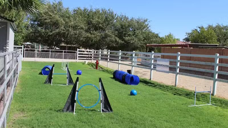 Fetch at The Stall Private Dog Park - Queen Creek, AZ