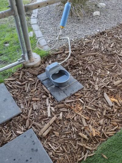 Fetch at The Stall Private Dog Park - Queen Creek, AZ