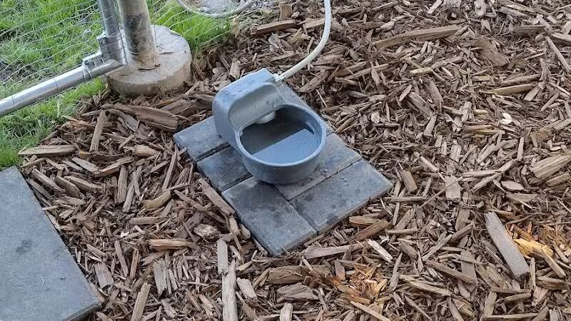 Fetch at The Stall Private Dog Park - Queen Creek, AZ