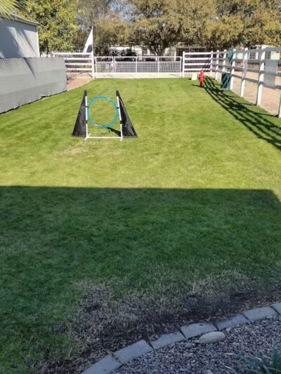 Fetch at The Stall Private Dog Park - Queen Creek, AZ