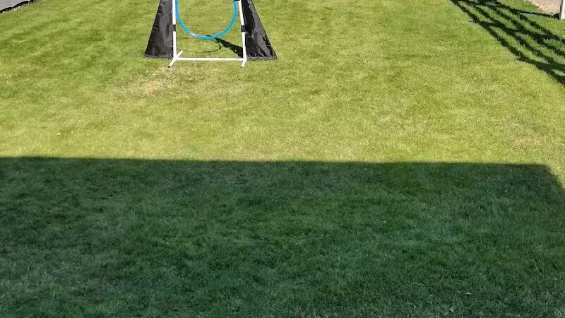 Fetch at The Stall Private Dog Park - Queen Creek, AZ