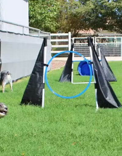 Fetch at The Stall Private Dog Park - Queen Creek, AZ