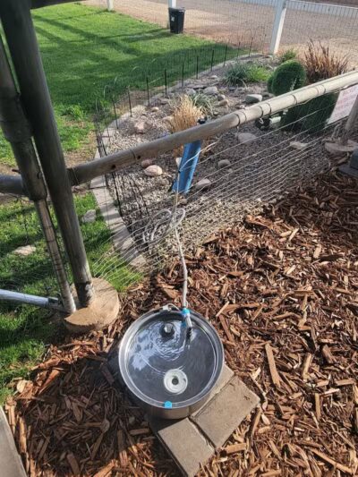 Fetch at The Stall Private Dog Park - Queen Creek, AZ