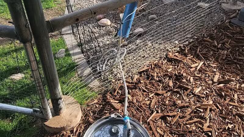Fetch at The Stall Private Dog Park - Queen Creek, AZ