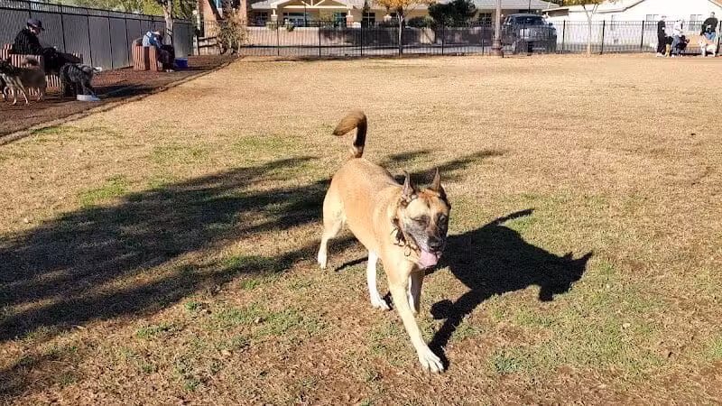 Pocket Park for Pups - Queen Creek, AZ