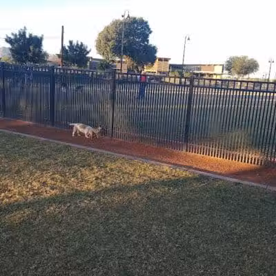 Pocket Park for Pups - Queen Creek, AZ