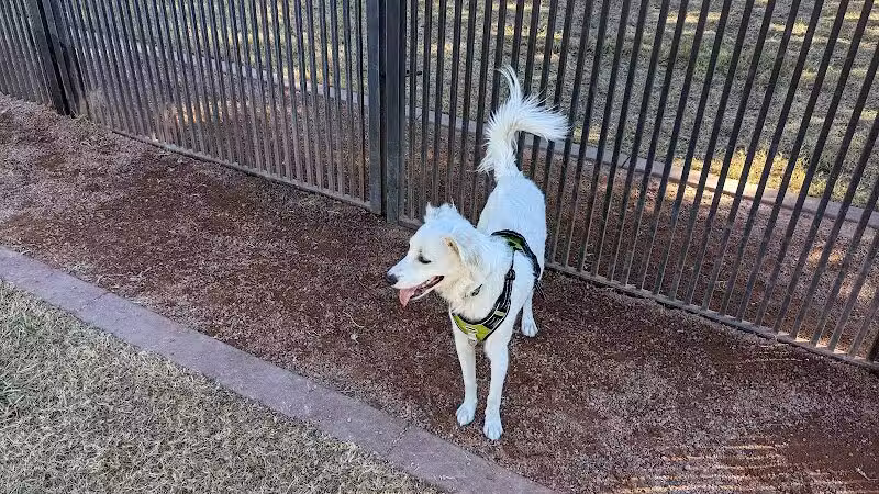 Pocket Park for Pups - Queen Creek, AZ