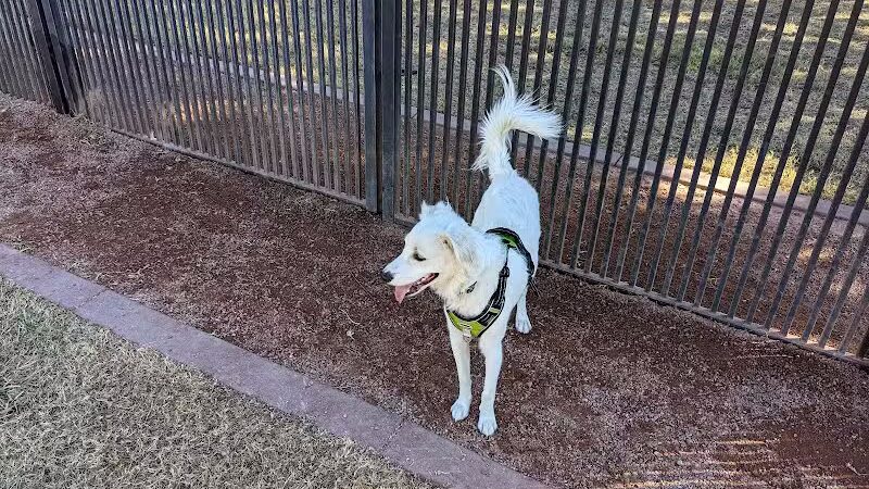 Pocket Park for Pups - Queen Creek, AZ