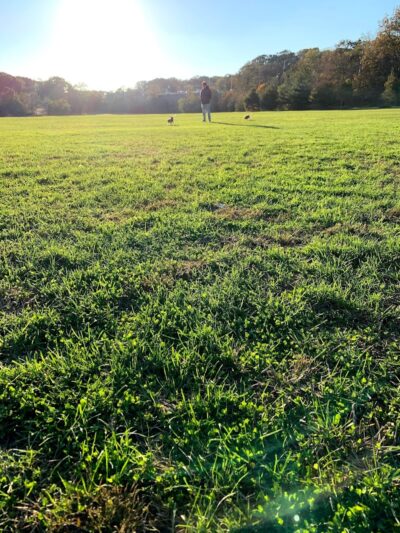 Alley Pond Park Tennis Courts - Queens, NY