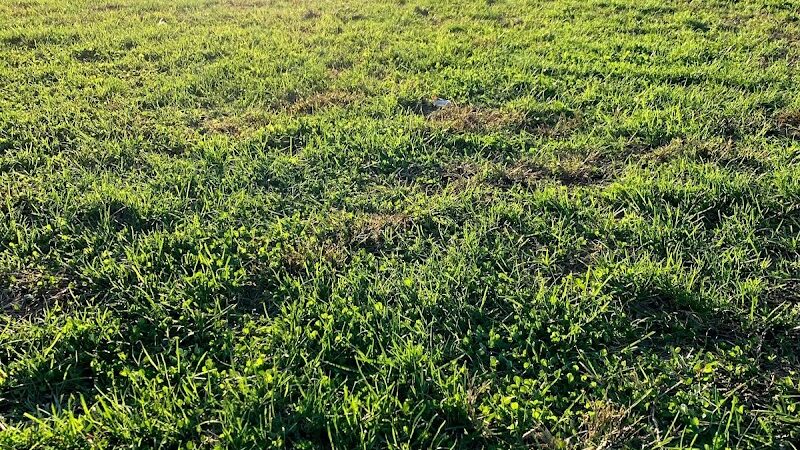 Alley Pond Park Tennis Courts - Queens, NY