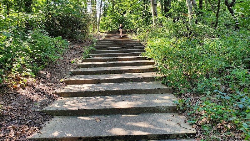 Alley Pond Park Tennis Courts - Queens, NY