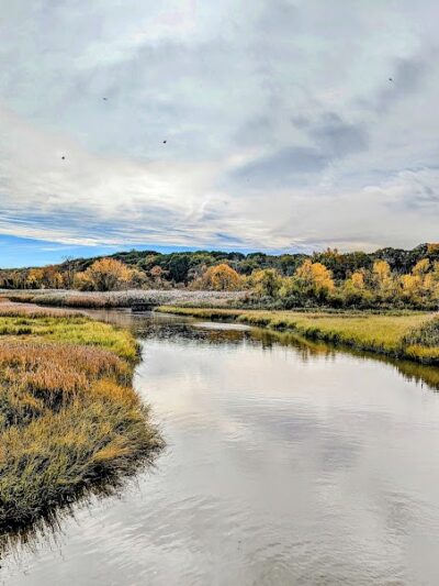 Alley Pond Park Trail - Queens, NY