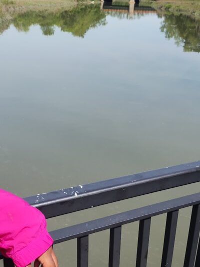 Alley Pond Park Trail - Queens, NY