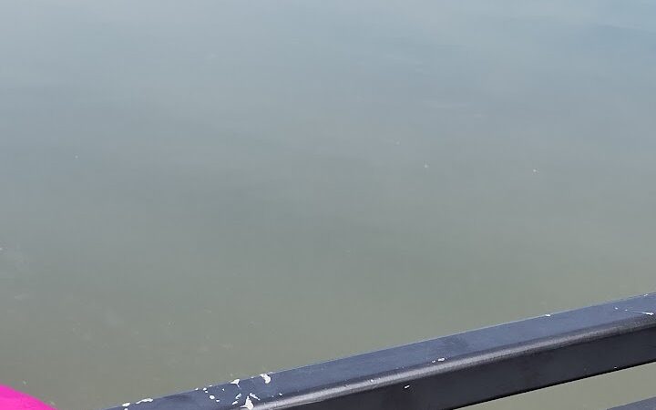 Alley Pond Park Trail - Queens, NY