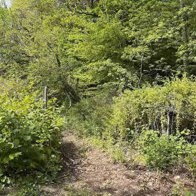Alley Pond Park Trail - Queens, NY
