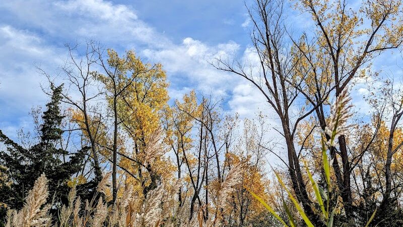 Alley Pond Park Trail - Queens, NY