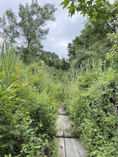 Alley Pond Park Trail - Queens, NY
