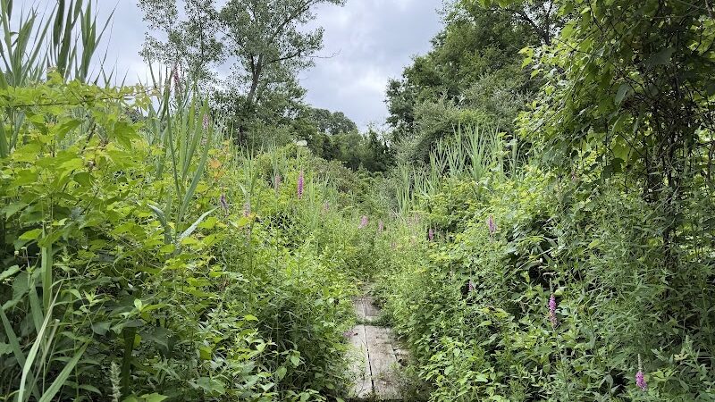 Alley Pond Park Trail - Queens, NY
