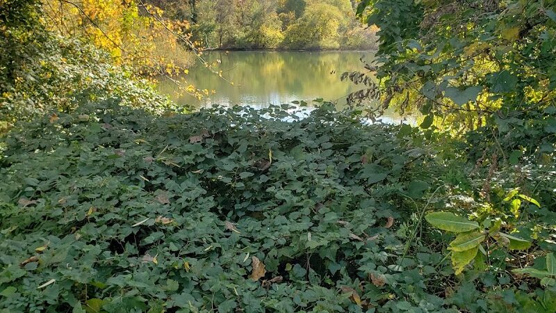 Alley Pond Park Trail - Queens, NY