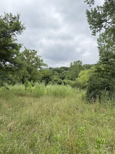Alley Pond Park Trail - Queens, NY