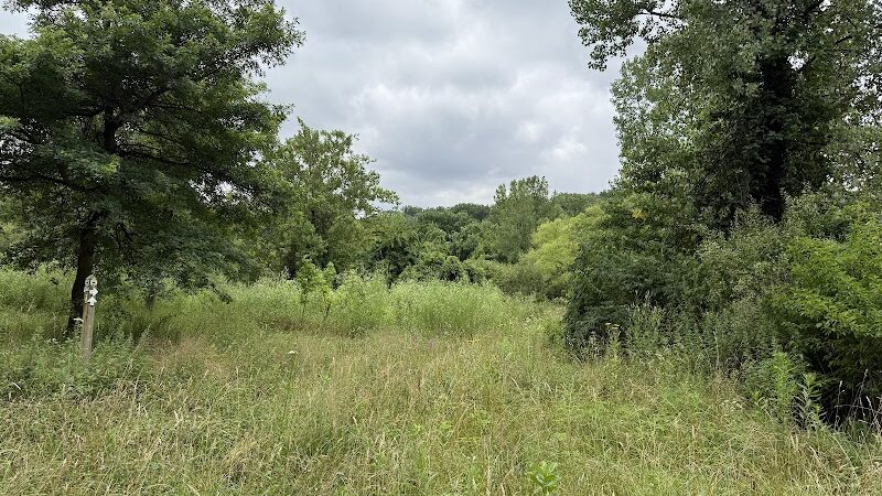 Alley Pond Park Trail - Queens, NY